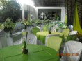 /album/verde-e-branco/a-259-jpg/